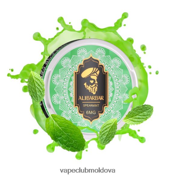 Disposable Vape Moldova Z8Z8R090 Alibarbar pungi cu nicotină mentă