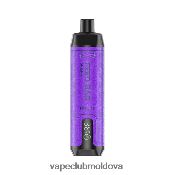 Disposable Vape Moldova Z8Z8R0120 Vapsolo SHISHA vapa de unică folosință gheață luxuriantă