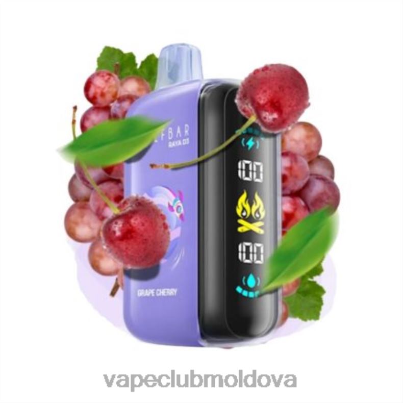 Vape Shop Chisinau XH4J01 Elf Bar Raya D3 25000 de unică folosință