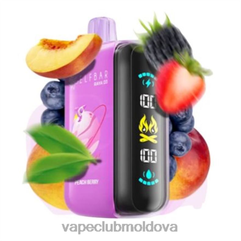 Vape Shop Chisinau XH4J01 Elf Bar Raya D3 25000 de unică folosință