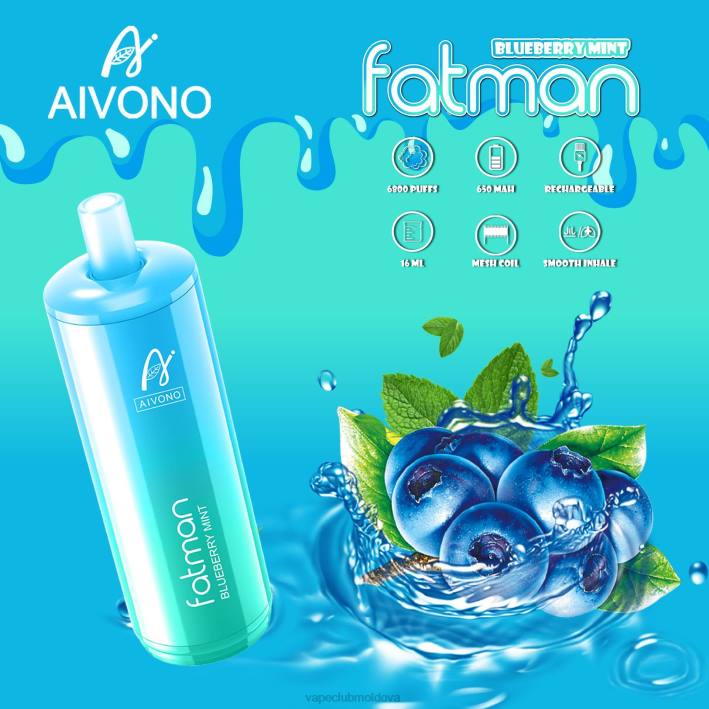 Vape Mod B20N22 Aivono FATMAN 6800 mentă de afine