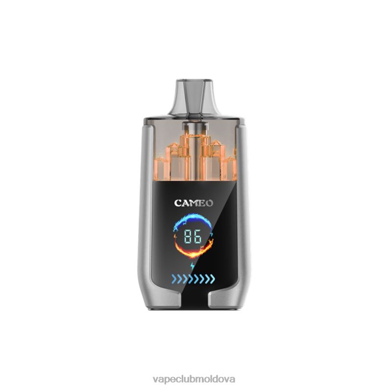 Disposable Vape Moldova 80H8215 LAVIE CAMEO 30000 de pufuri gheata de afine