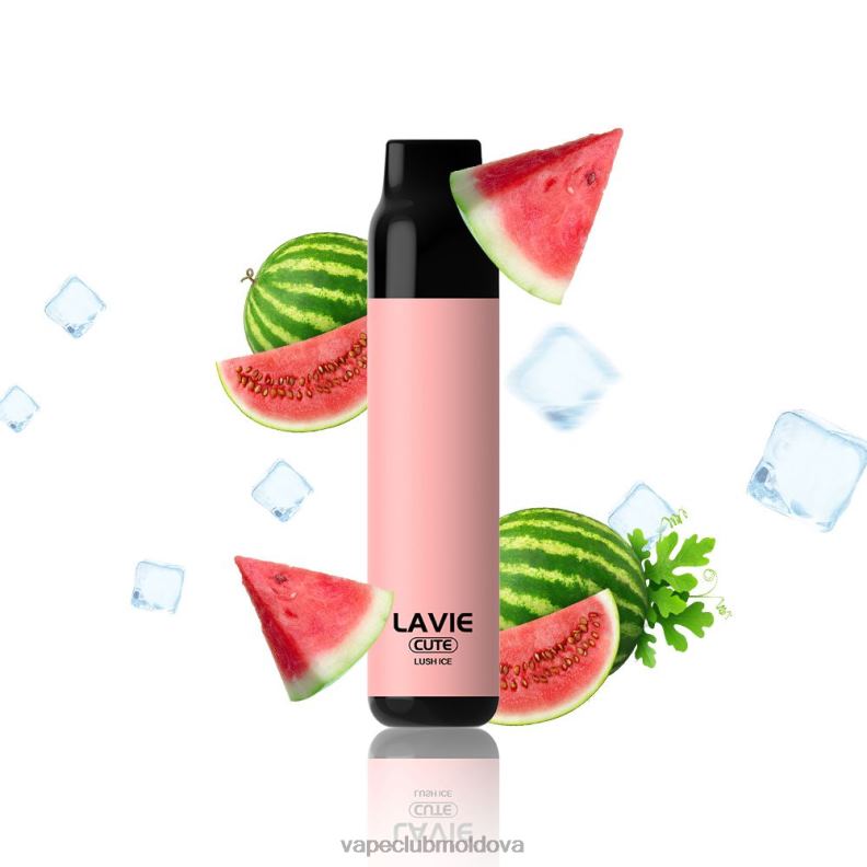 Disposable Vape Moldova 80H82285 LAVIE BAR 3000 pufuri gheață luxuriantă