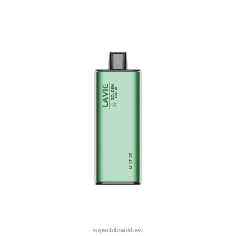Vape Mod 80H8262 LAVIE GOLDEN BRICK 10000 de pufuri gheata de menta