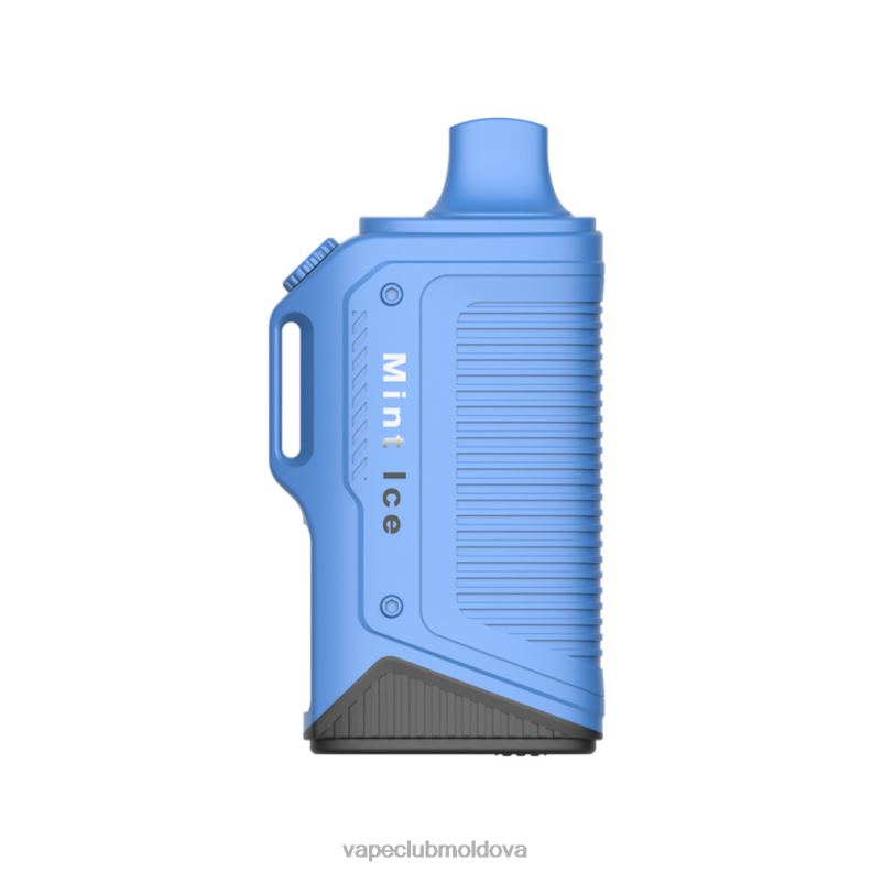 Vape Mod 80H8272 LAVIE Energy Box 15000 pufuri gheata de menta