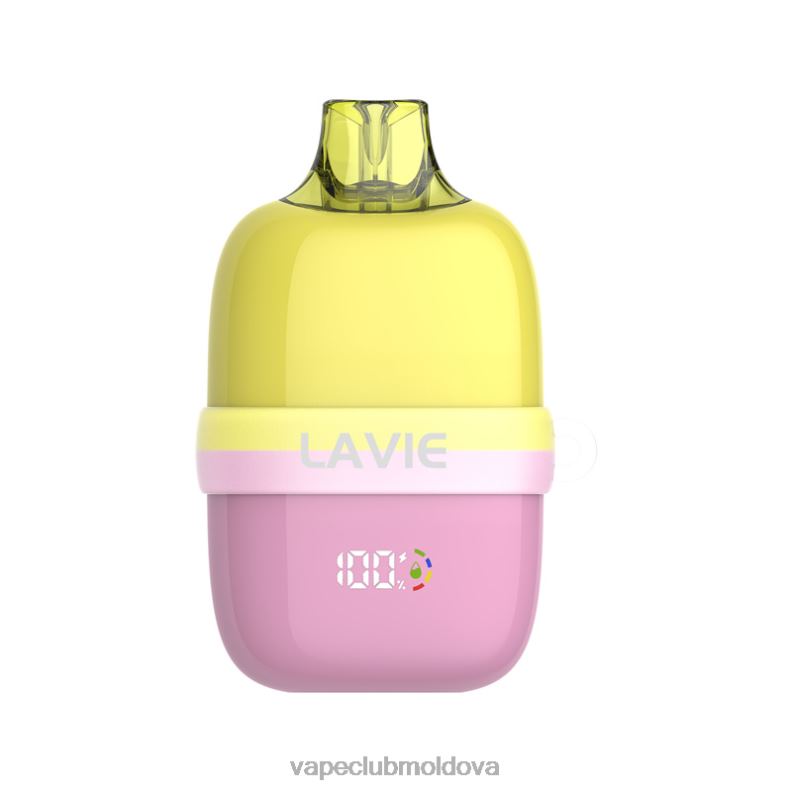 Vape Mod 80H8282 LAVIE INSIDER 12000 pufuri gheata de pepene verde