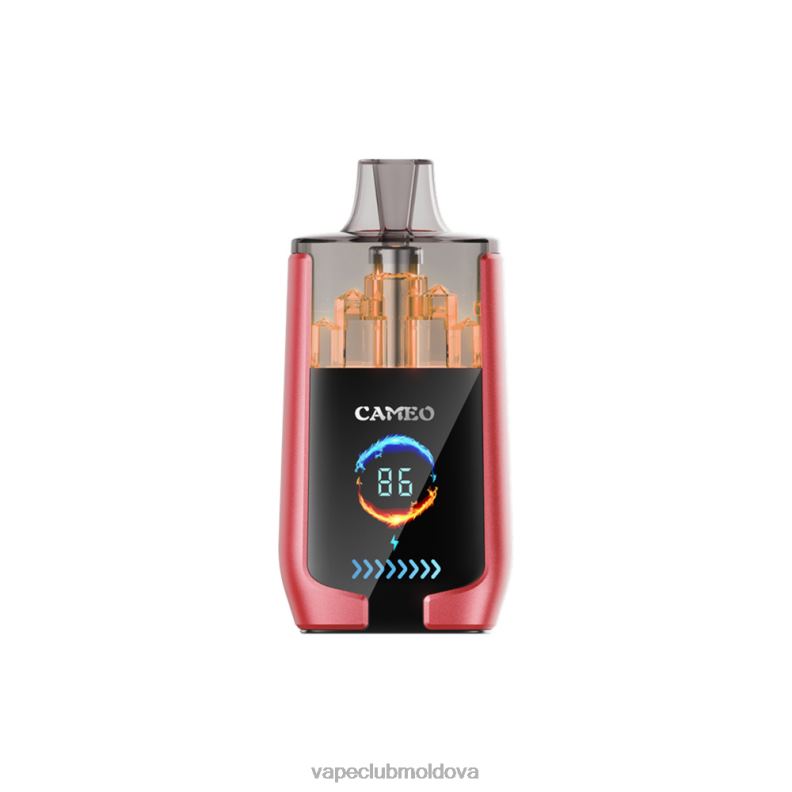 Vape Moldova 80H8214 LAVIE CAMEO 30000 de pufuri gheata de pepene verde