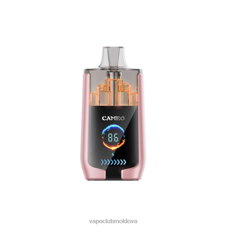 Vape Moldova 80H8219 LAVIE CAMEO 30000 de pufuri fructe tropicale