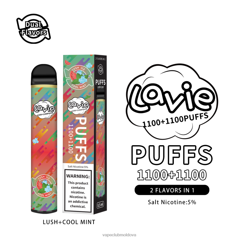 Vape Moldova 80H82294 LAVIE BAR Switch 2200 pufuri mentă luxuriantă/rece